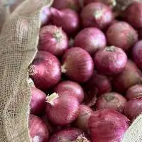 Fresh Onion