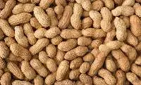 The Peanut