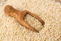The Sesame