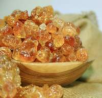The Arabic Gum