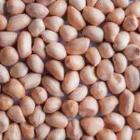 Java Peanuts (JAVA - 50/60 , 60/70,  80/90)