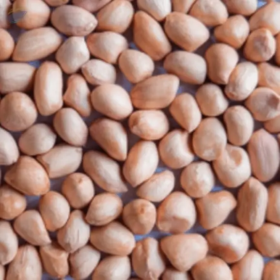 Java Peanuts (JAVA - 50/60 , 60/70,  80/90)