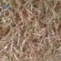 Wood shavings