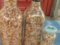 Roasted peanuts