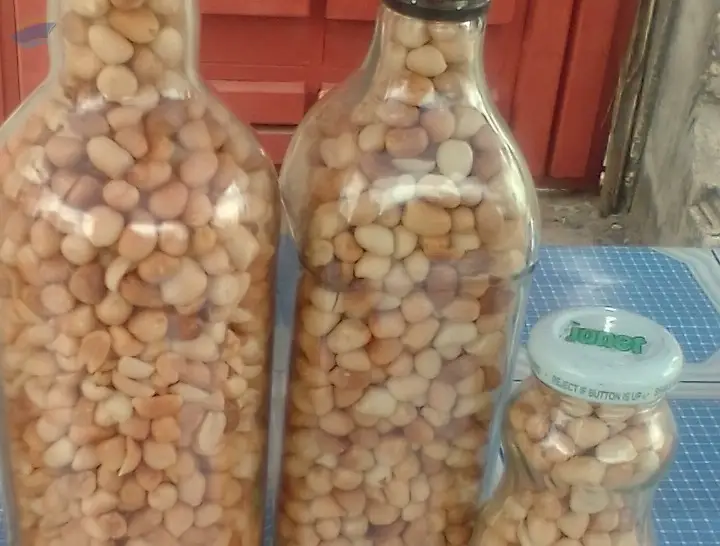 Roasted peanuts