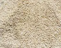 White Sesame Seed