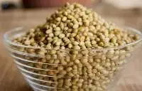 Coriander Seeds
