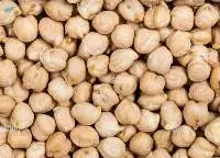 Chickpeas Seed