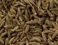 Cumin Seeds