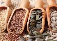 Oil Seeds