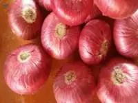 Red Onion