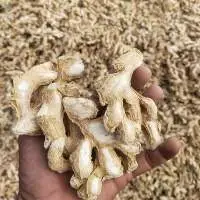 Dry Ginger