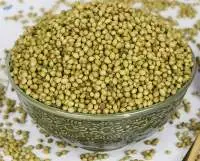 Coriander Seed