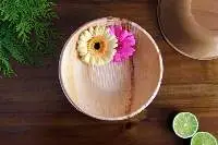 Large 8 Round Deep Salad Areca  Bowls