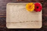 Large 14x10 Rectangle Areca Serving Tray