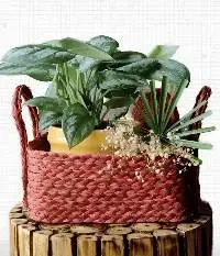 Sabai Grass Utility Tray