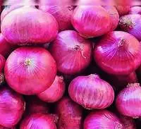 Onion