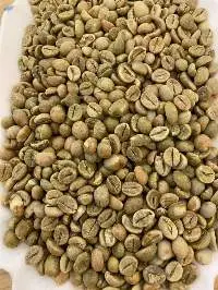 Vietnam Robusta Coffee Green Bean S18