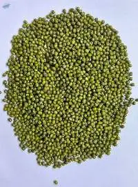 Green Mung Beans For Sprouting (non-GMO)