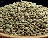 Vietnam Robusta Coffee Bean
