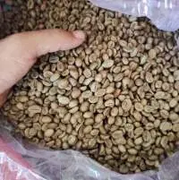 Vietnam Green Coffee Bean
