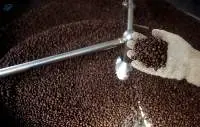Roasted Coffee Bean