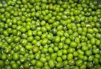 Dried Green Mung Beans size 2,25 -4mm