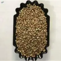 Green Coffee Bean Honey Process