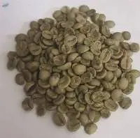 Washed Green Coffee Bean Vietnam