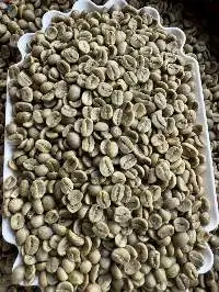 Green Coffee Beans Specialty