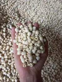 Dried Lotus Seed