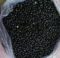 Black Beans / Black Gram