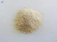 Onion Powder