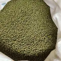 Green gram