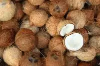 Dry Coconut