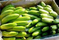 Vietnam Banana