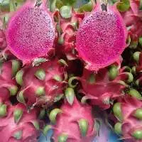Red Dragon Fruits