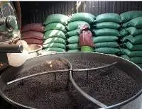 Roasted Arabica Coffee Bean