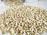 Cashew Nut W240