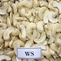 Cashew Nut WS