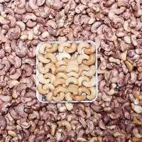 Roasted Salt Cashew Nut
