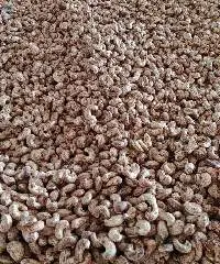 Roasted Cashew Nut With Skin
