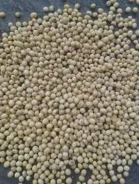 Non GMO Soybeans