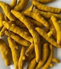 Dried Turmeric Finger