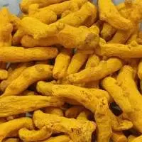 Turmeric Fingers