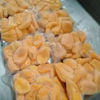 IQF Frozen Jackfruit