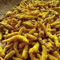 Turmeric Fingers  