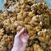 Vietnam Fresh Ginger
