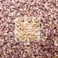 Vietnam Roasted Cashew Nuts
