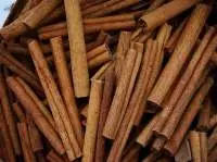 Vietnam Cinnamon Sticks